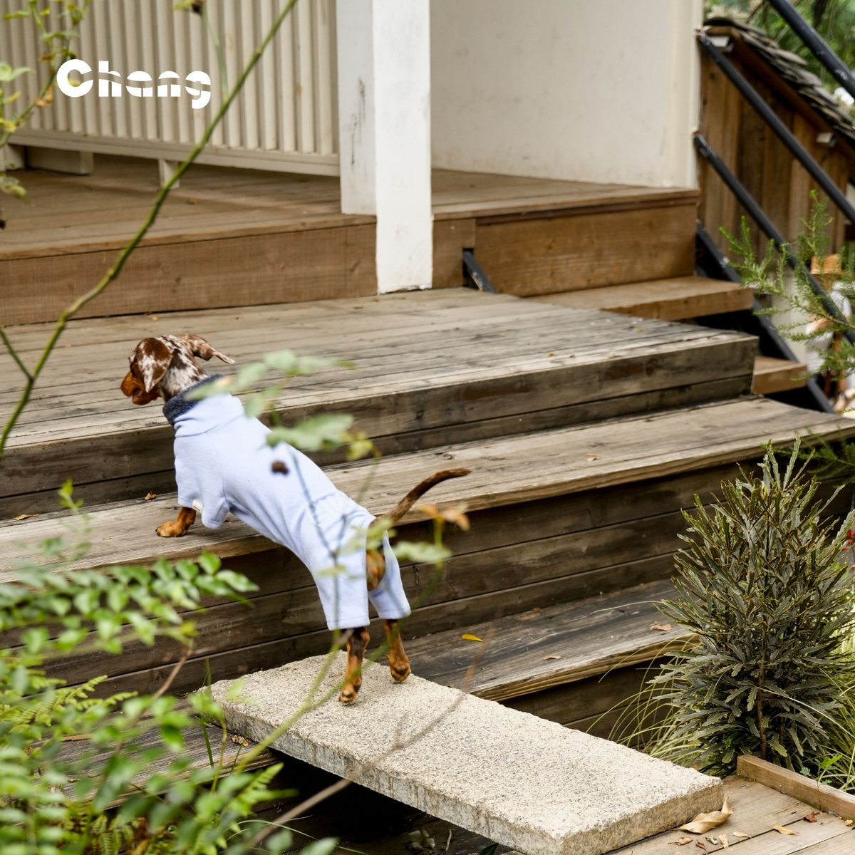 Silk Hand | Dachshund Base Layer