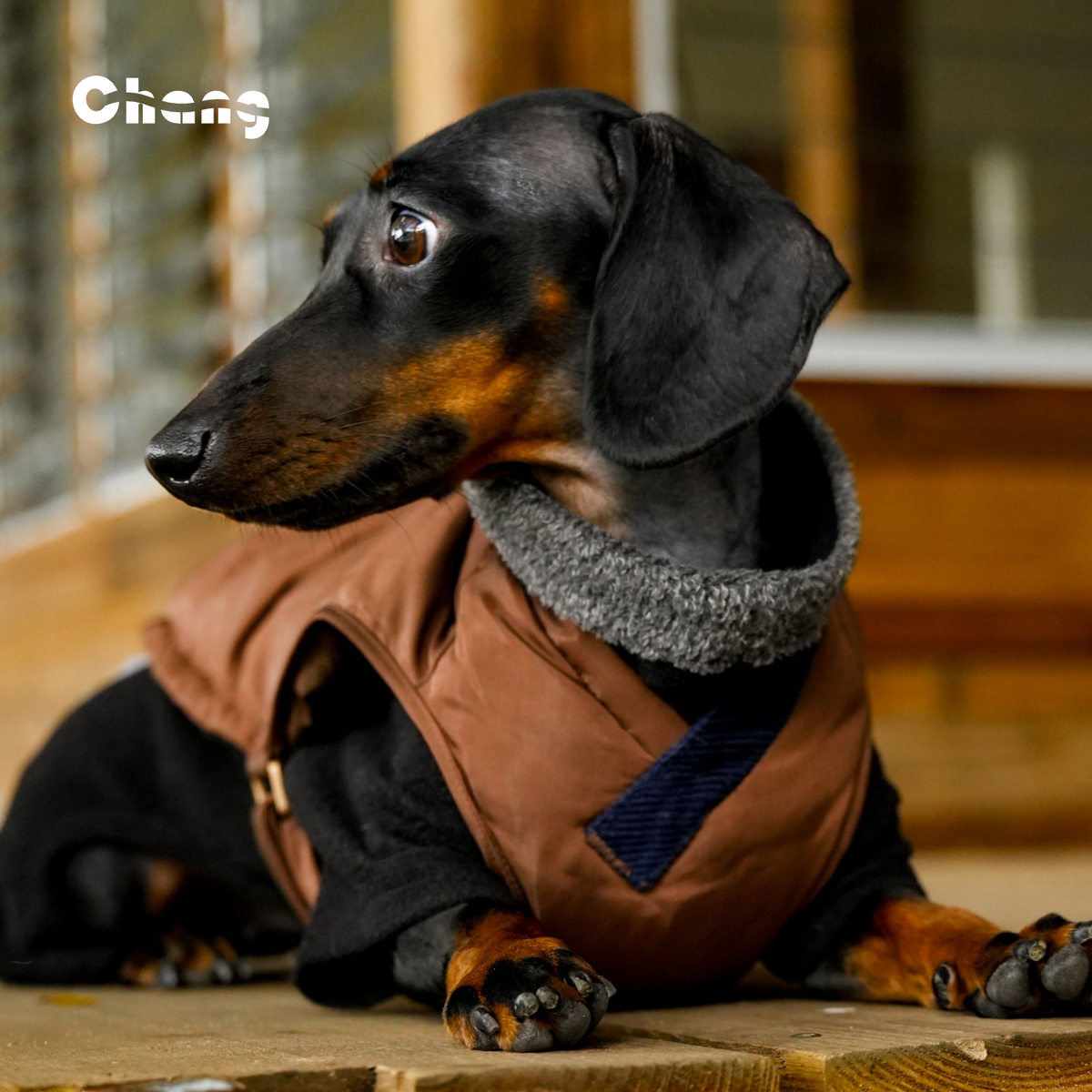 HEARTWOOD | Dachshund VEST