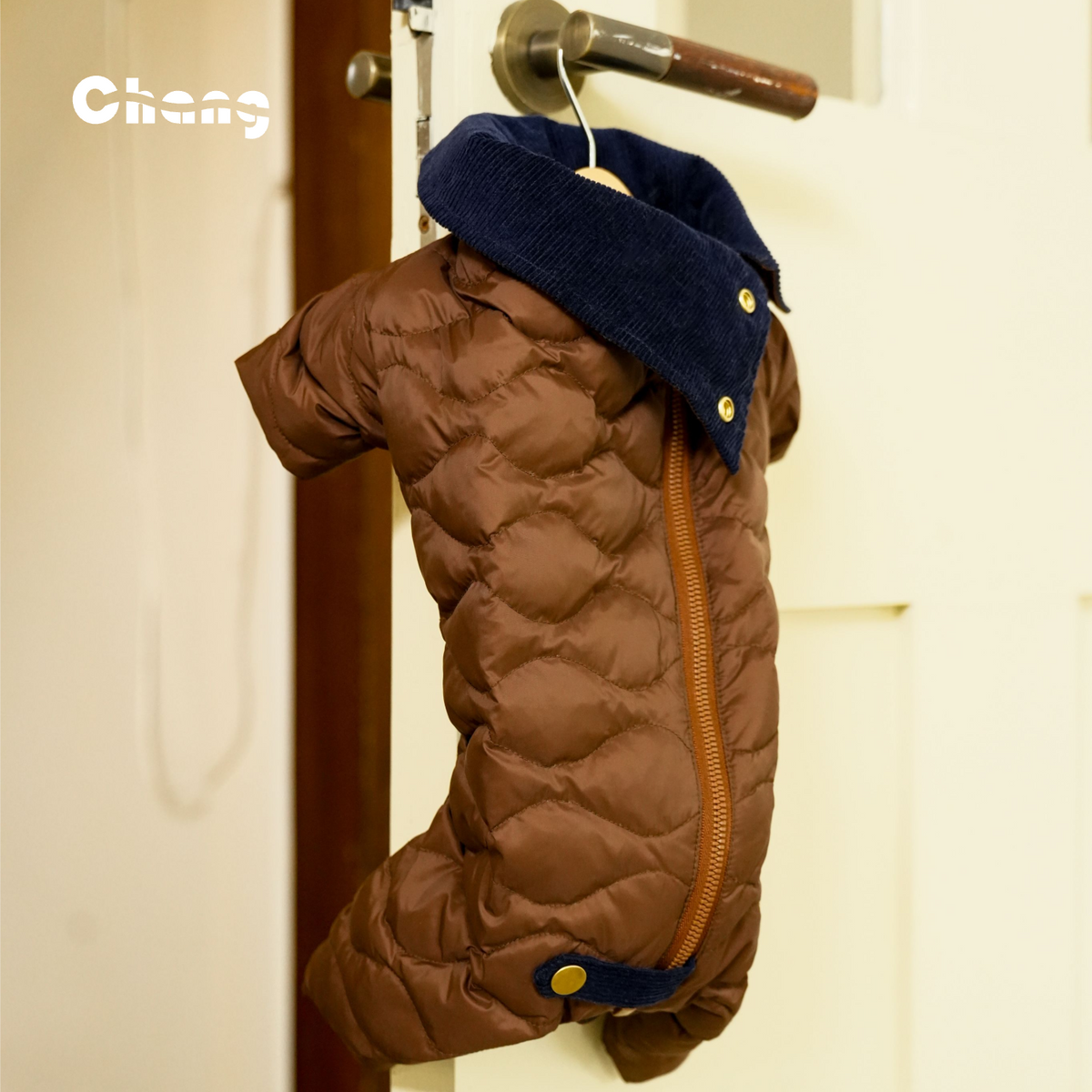 HEARTWOOD | Dachshund parka