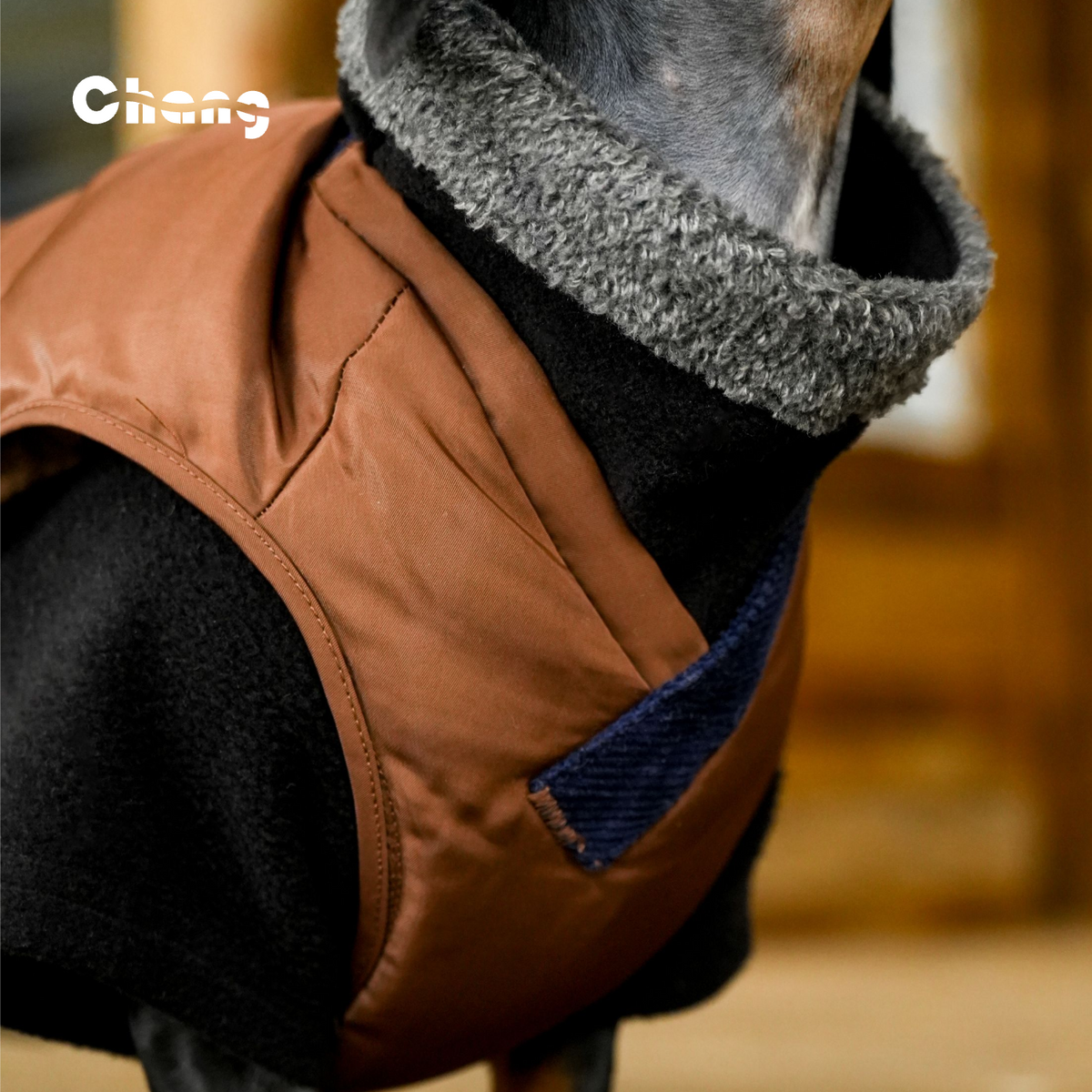 HEARTWOOD | Dachshund VEST