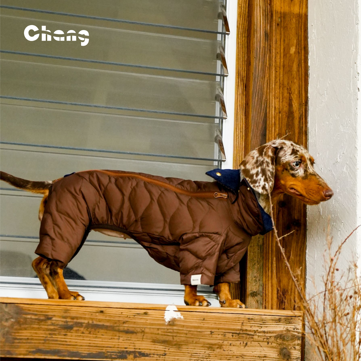 HEARTWOOD | Dachshund parka