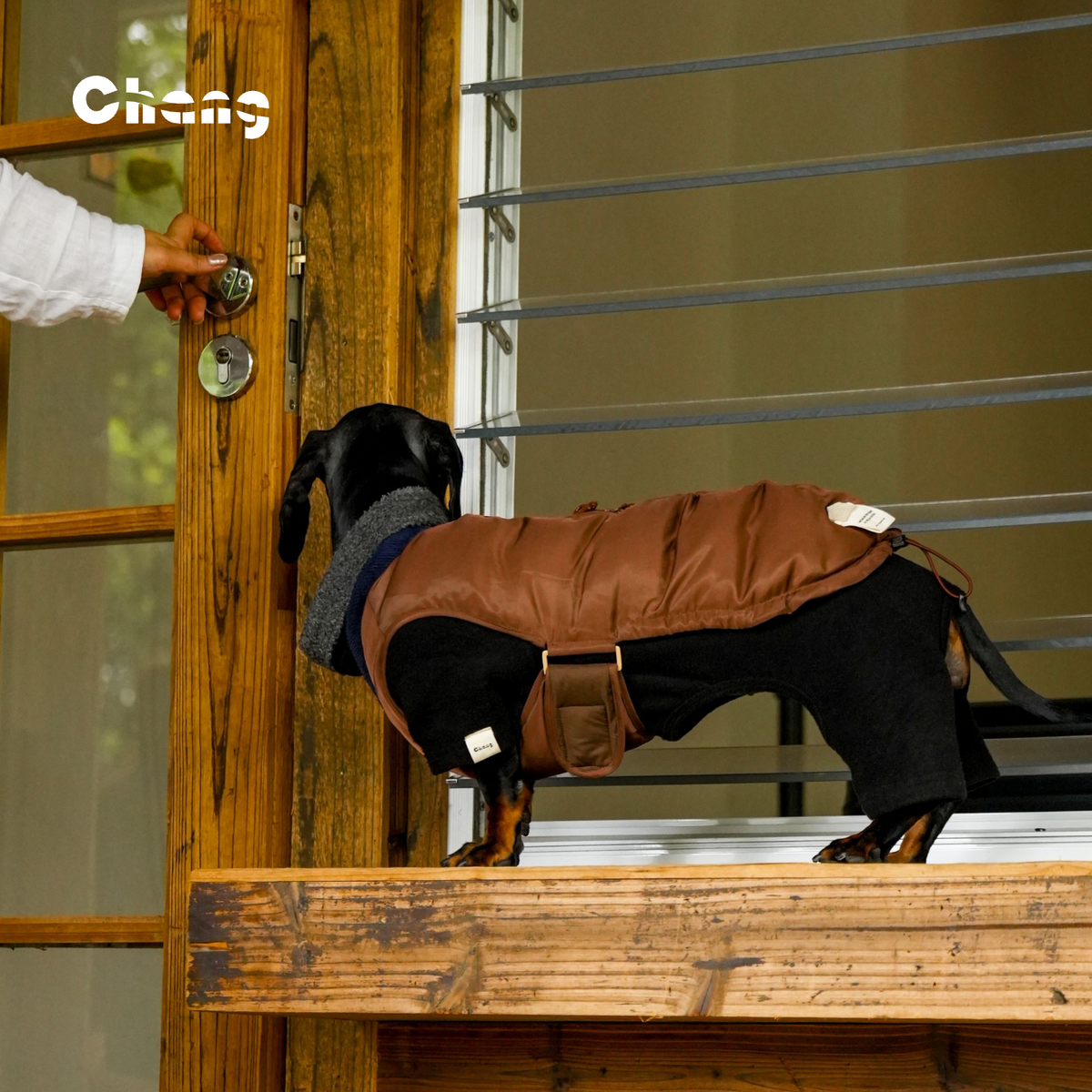 HEARTWOOD | Dachshund VEST