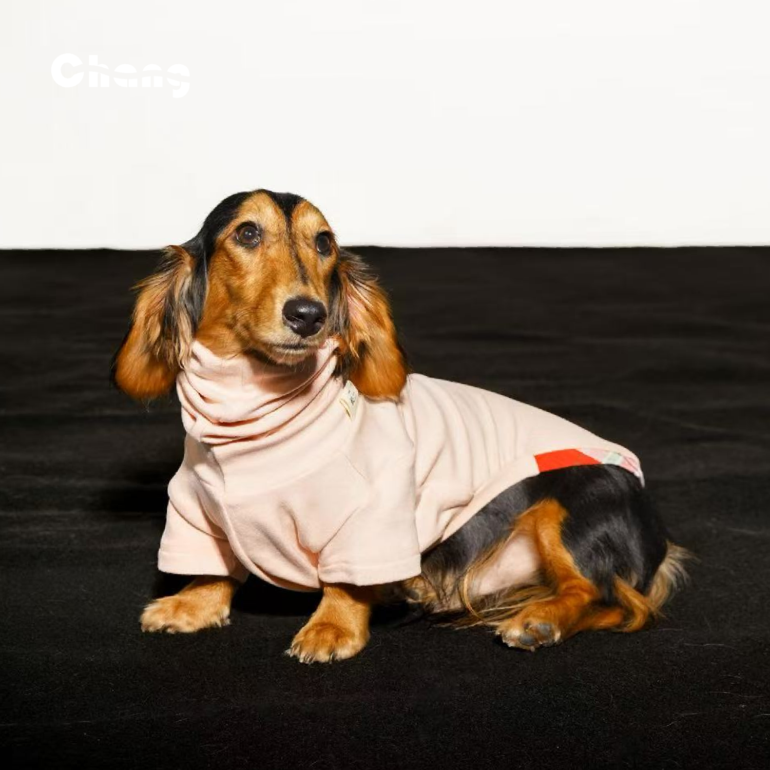 "MOM'S HAND" BASE LAYER 3.0 | Dachshund Base Layer | Chang 2025AW