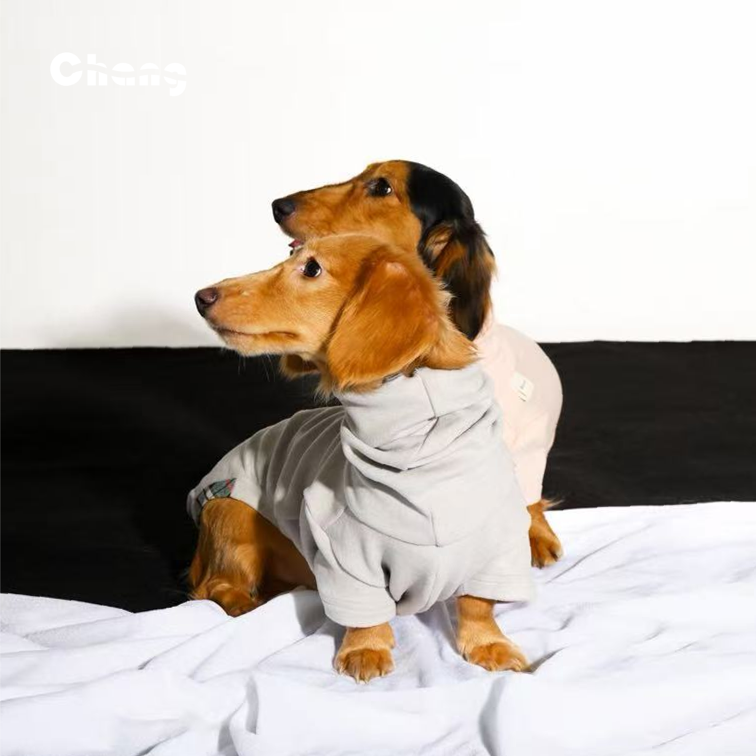 "MOM'S HAND" BASE LAYER 3.0 | Dachshund Base Layer | Chang 2025AW