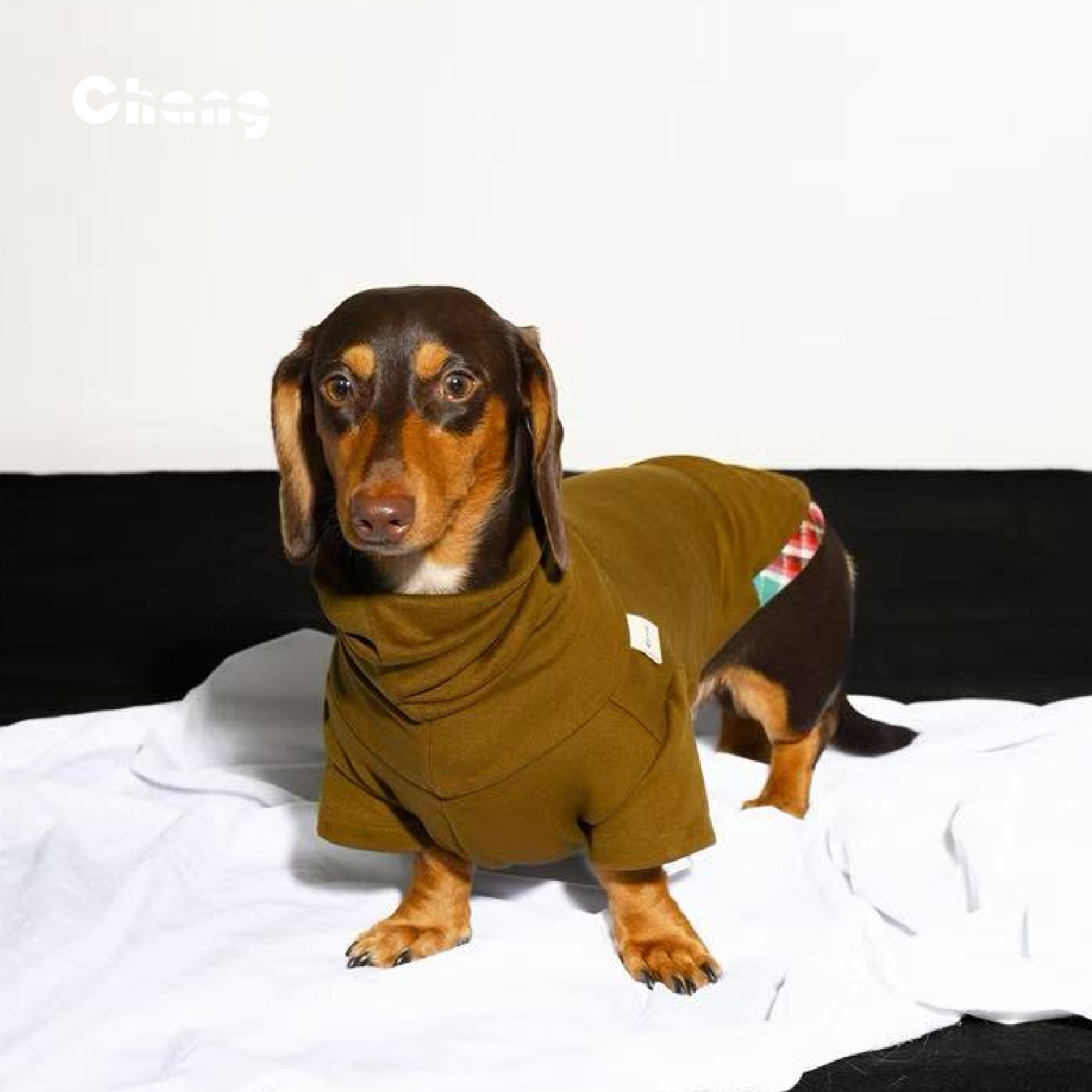 "MOM'S HAND" BASE LAYER 3.0 | Dachshund Base Layer | Chang 2025AW