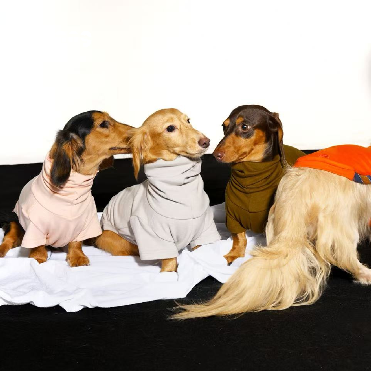 "MOM'S HAND" BASE LAYER 3.0 | Dachshund Base Layer | Chang 2025AW