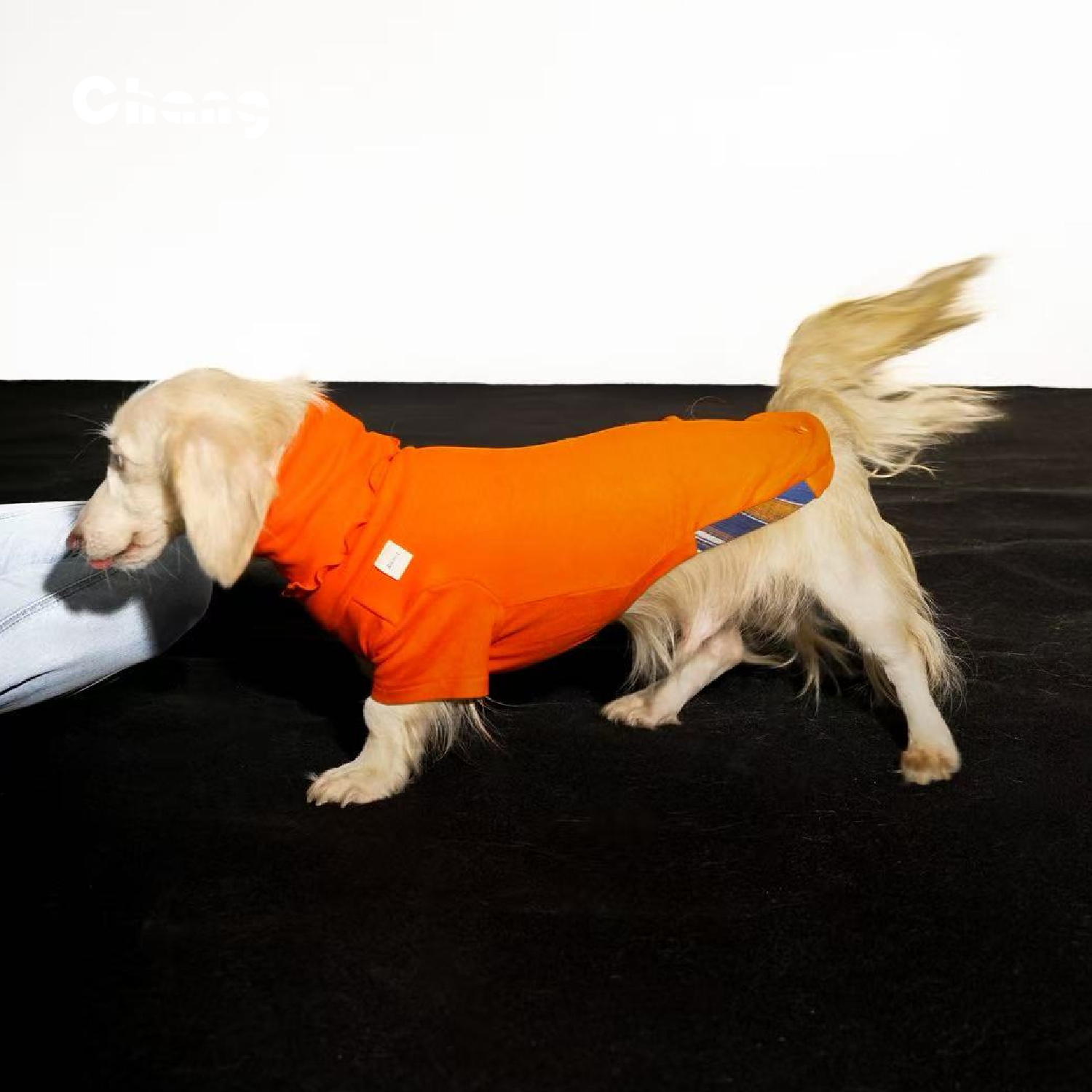 "MOM'S HAND" BASE LAYER 3.0 | Dachshund Base Layer | Chang 2025AW