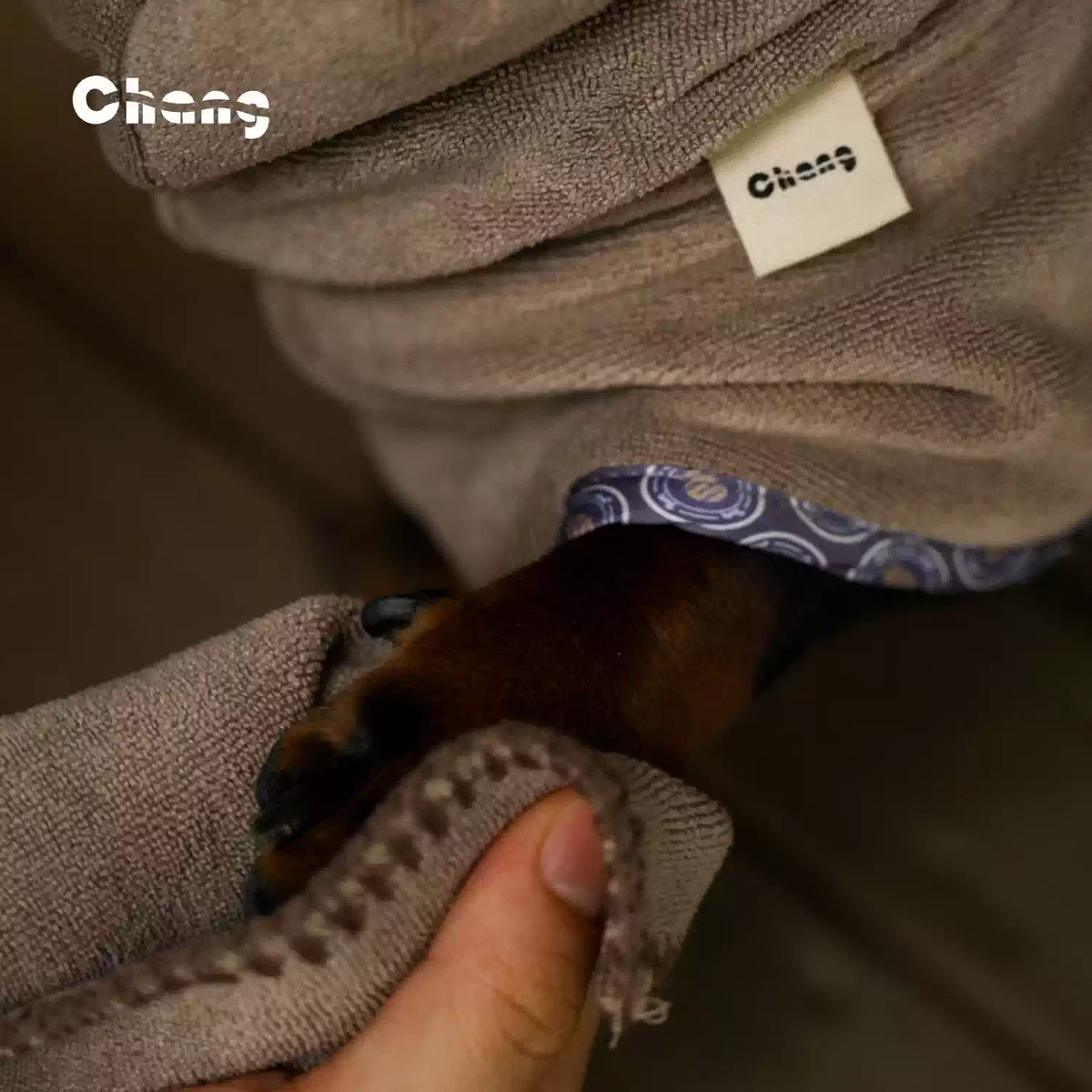 Dry Baby| Dachshund After Bath Robe