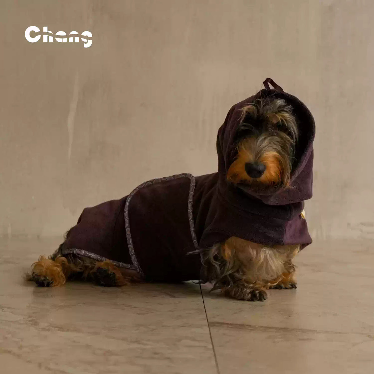Dry Baby| Dachshund After Bath Robe
