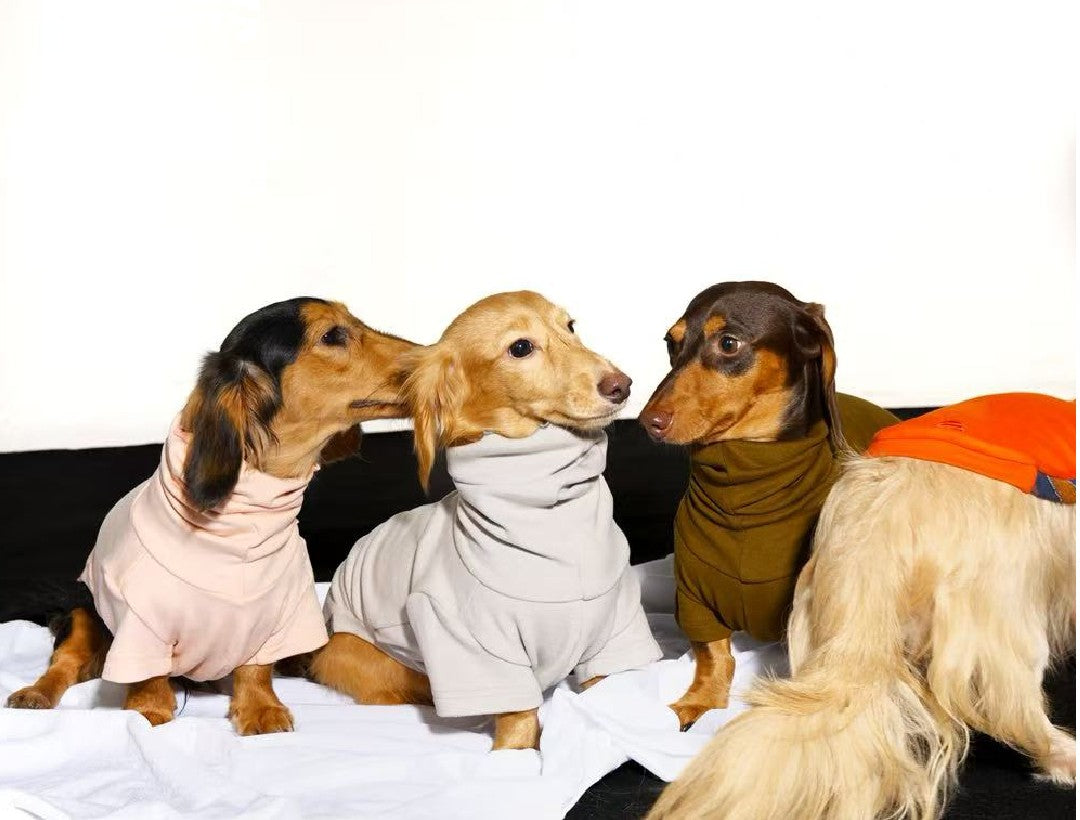 Melody Jane Puppenhaus Dackel Set – 3-teilig, Braun, Maßstab 1:12, Aus Kunstharz