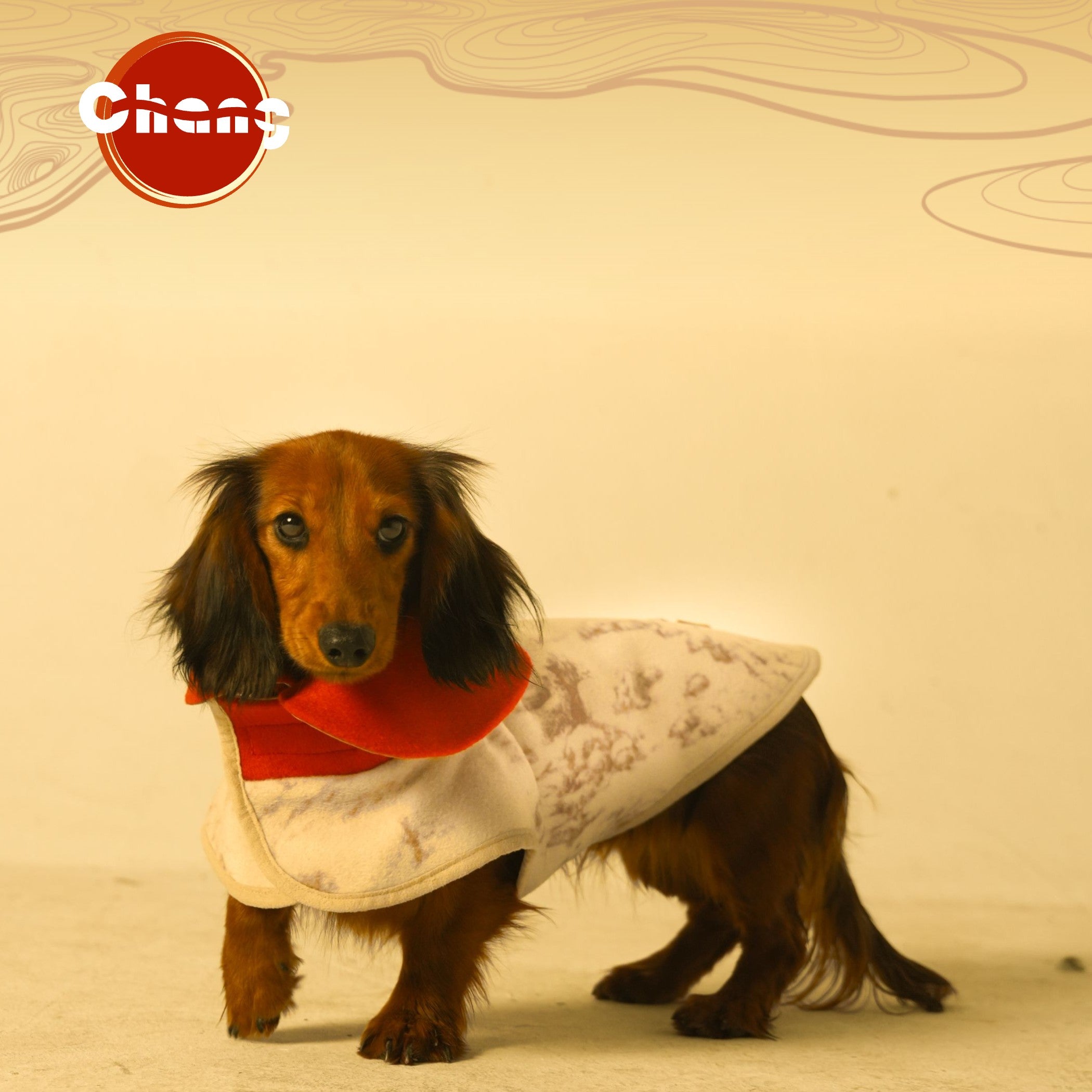 Dachshund-coat-greenhouse-floral-wool-coat-the-rising-sun