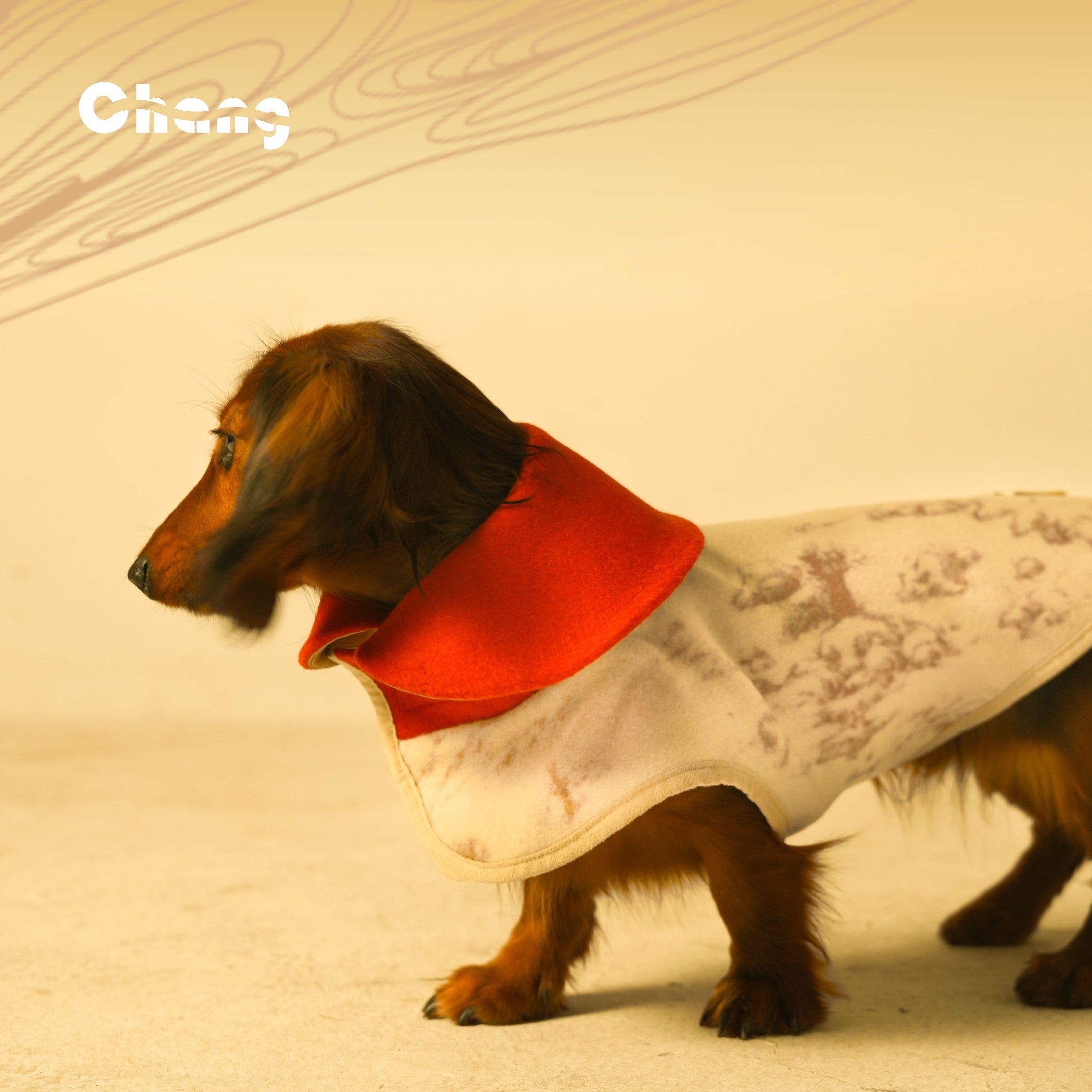 Dachshund-coat-greenhouse-floral-wool-coat-the-rising-sun