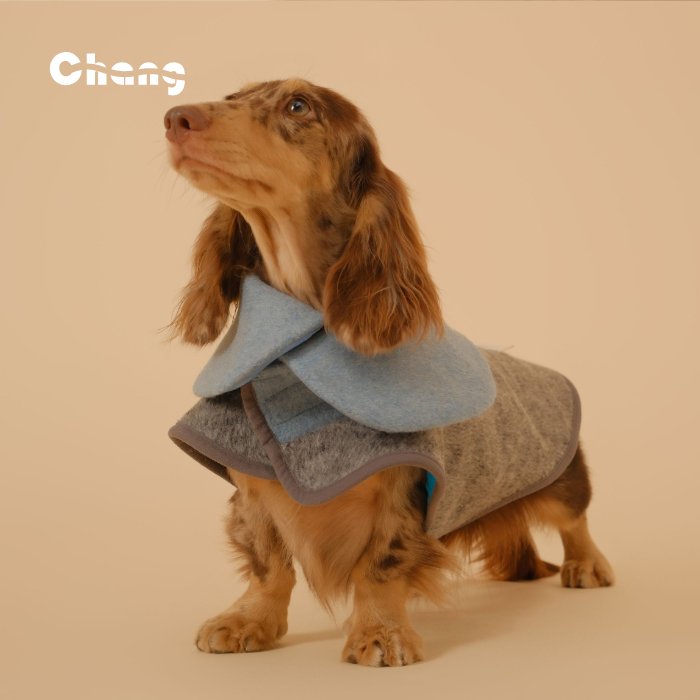 Dachshund Coat | GREENHOUSE FLORAL WOOL COAT - Chang
