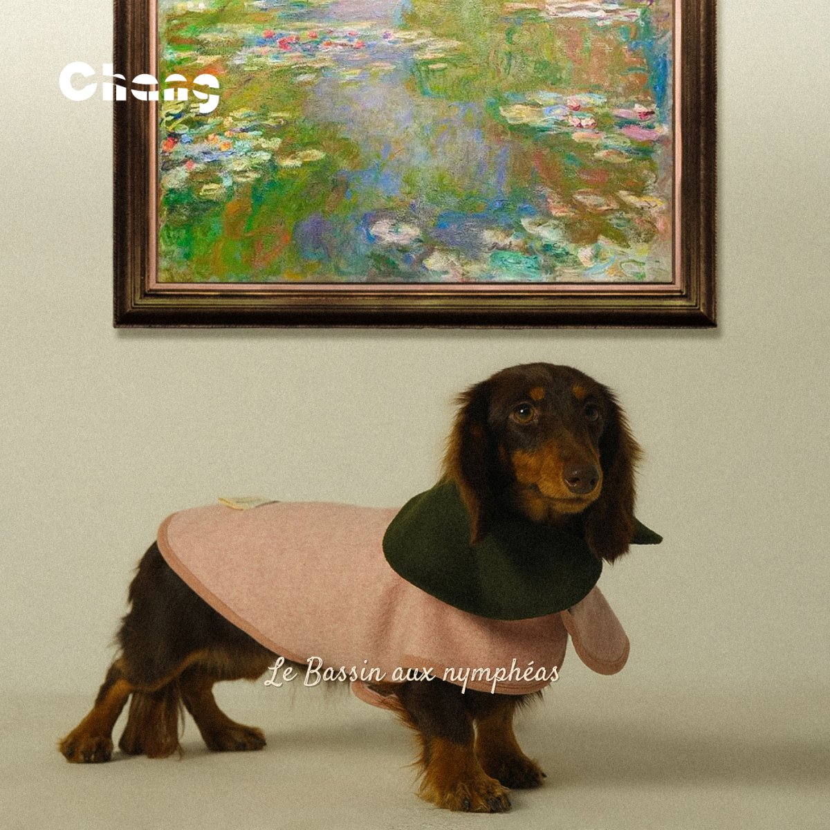 Dachshund Coat | GREENHOUSE FLORAL WOOL COAT - Le Bassin aux nymphéas - Chang